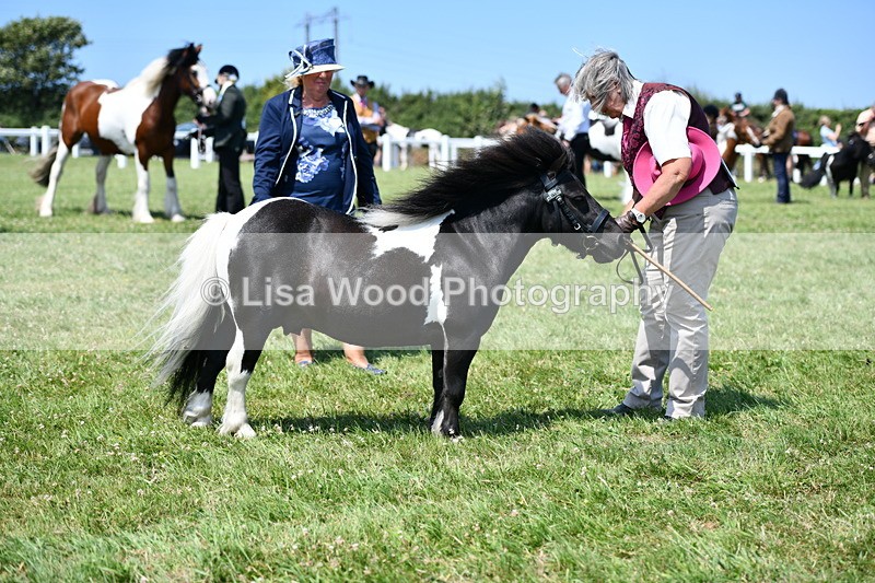 DSC_7719 - Class 64: Coloured Pony 4yrs & over