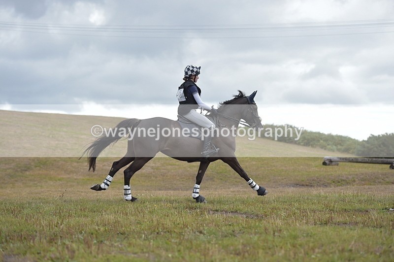 NGP_2319 - XC Time 11:20 to 11:36