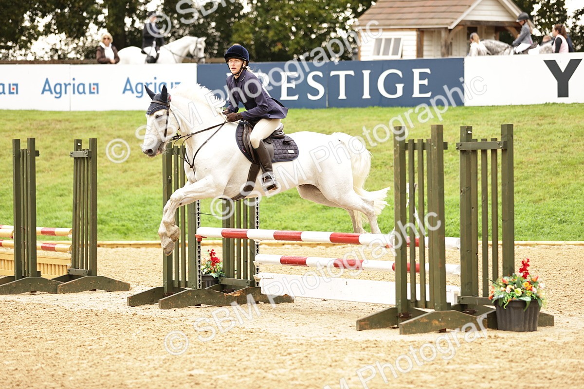 SBM_33054 - J38 - Senior Horse & Pony 80cm Championship