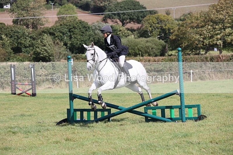 JPP_8718 - Class 2: Trekenning: 80cm Showjumping