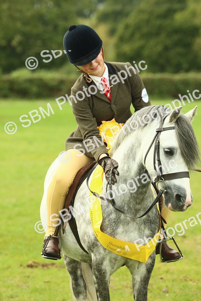 SBM_70039 - S59 - Mountain & Moorland Ridden Small Breeds