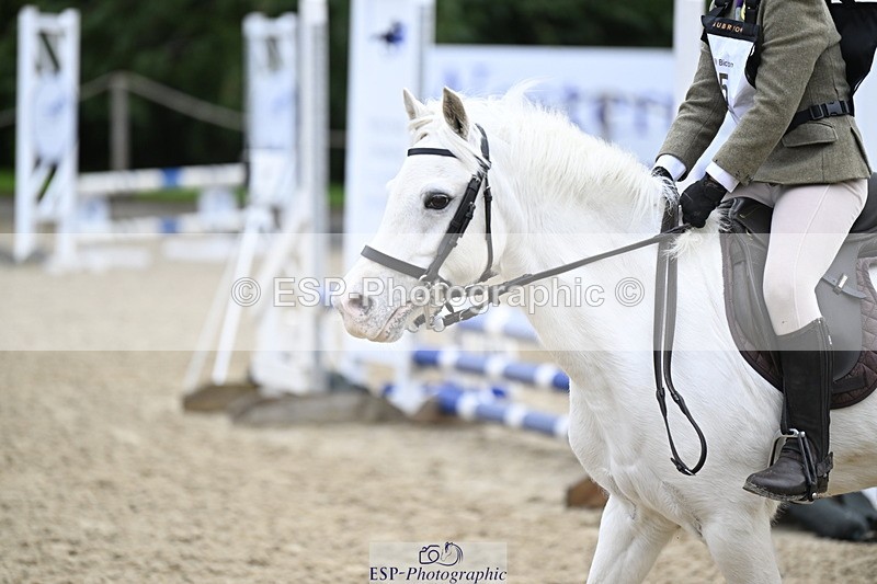 251005A-095042-03123 - Cls 03 GR 60cm