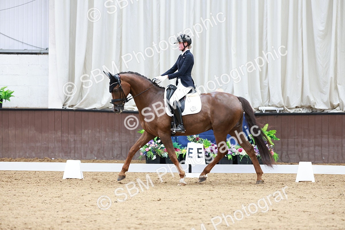SBM_017979 - Class 15 - FEI Junior