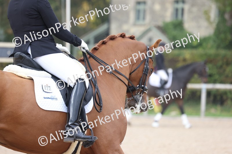 20251012-0795 - Class 9 - Advanced Medium 3