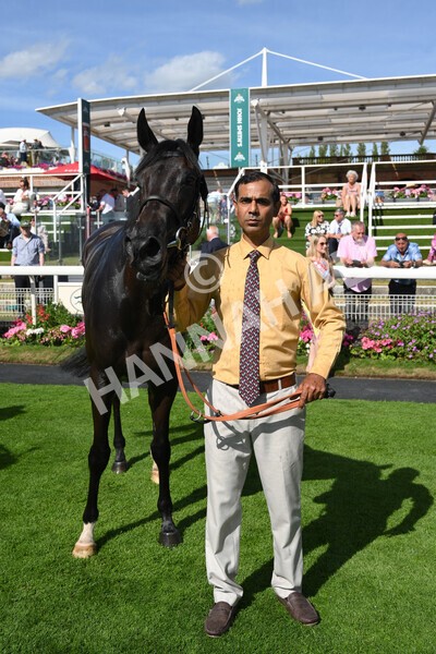 yr09072022r6-38 - Race 6 4.40pm John Smith's City Walls Stakes