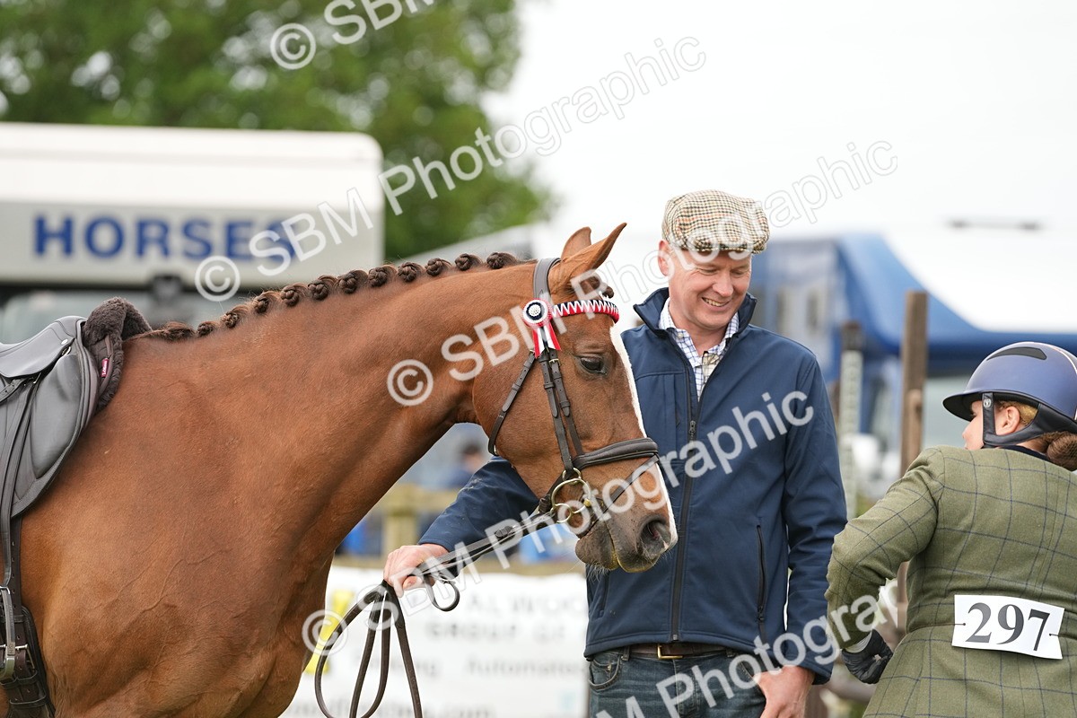 SBM_10638 - Class 97-98 - LIHS BSHA Rising Star Working Show Horse Hunter