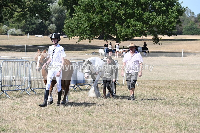 WJ6_9468 - Class 40 Cheekiest Pony/Horse