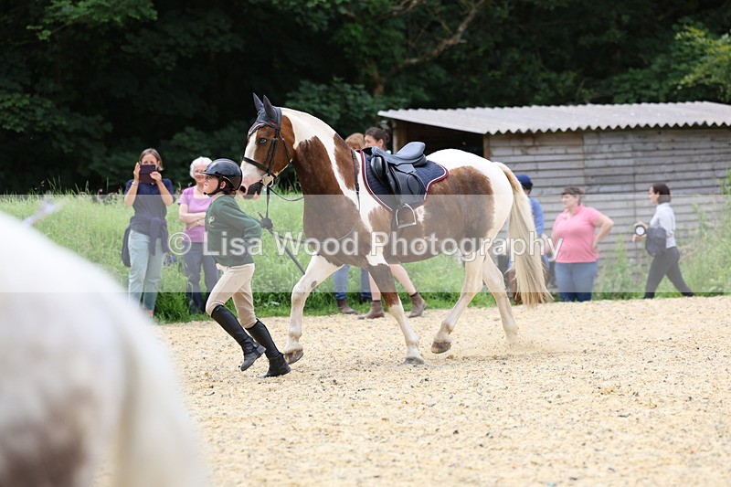 3E7A9424 - Walk trot run