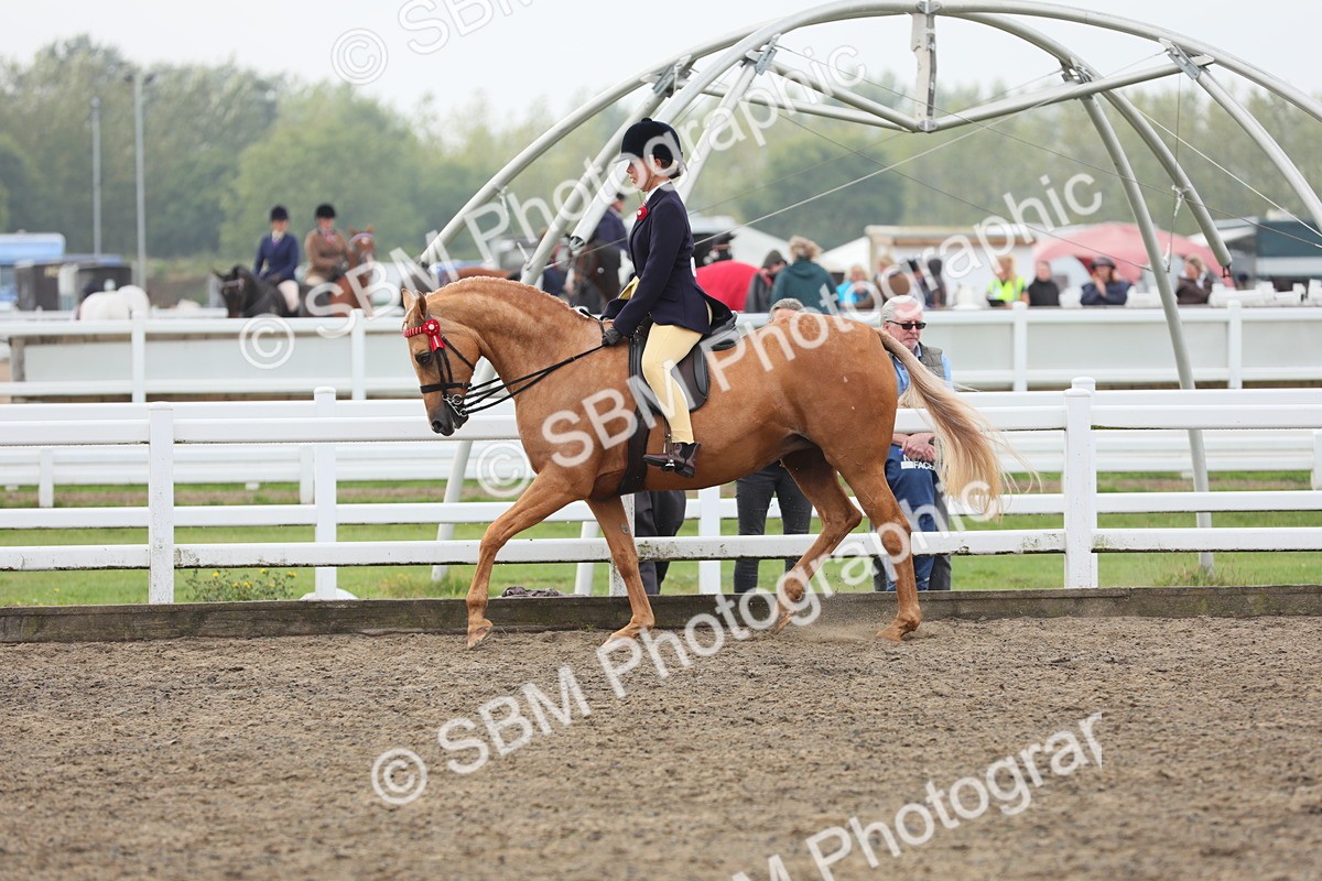 SBM_22340 - Class 807 - Young Rider 11 to 16 Yrs