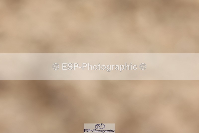 240622A-111456-08994 - Cls 30 BD Elementary 53