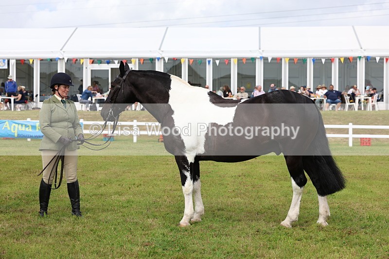 3E7A0387 - Class 6: Rising Star Maxi Cobs