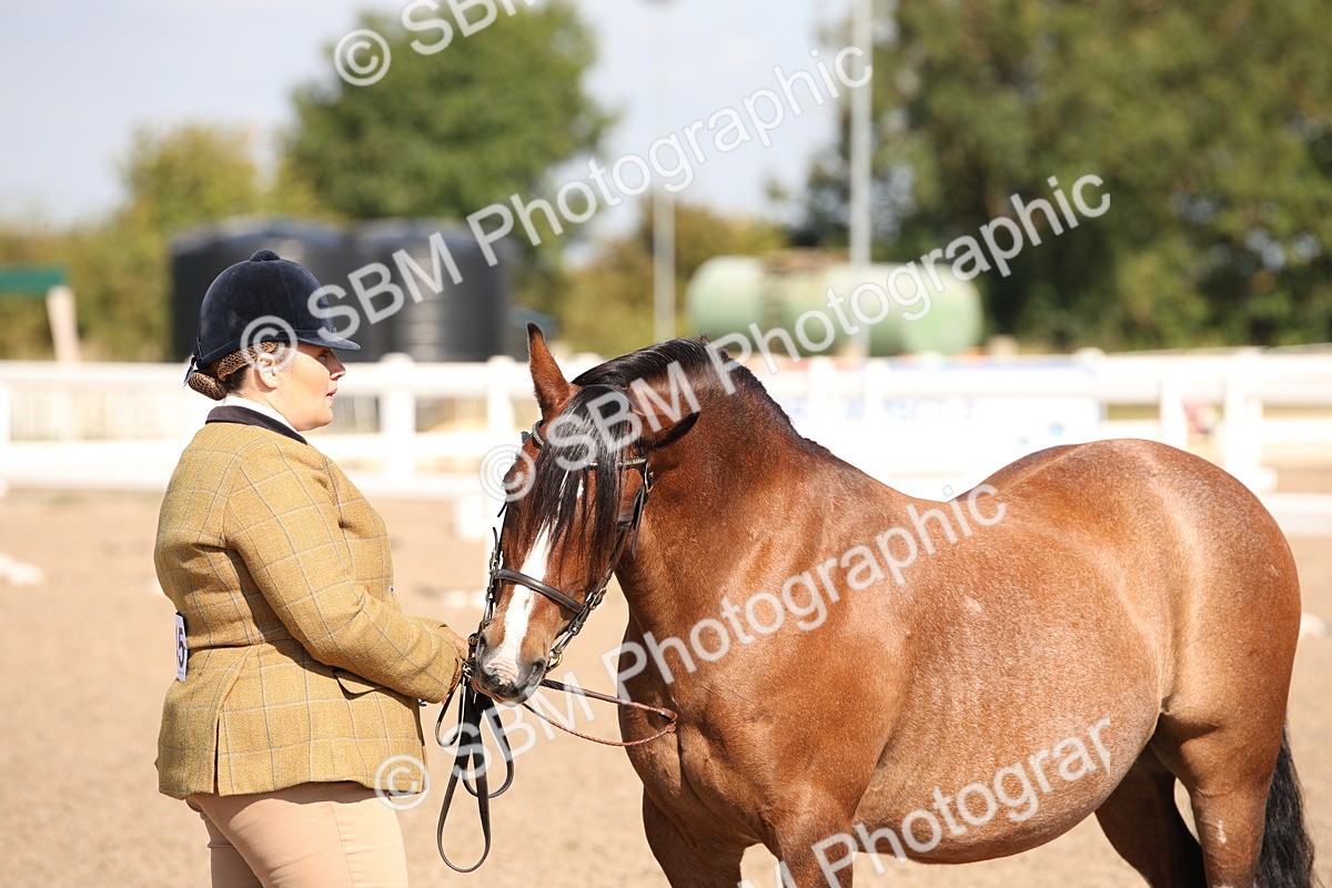 SBM_02760 - Class 16 IH M&M Wildcard