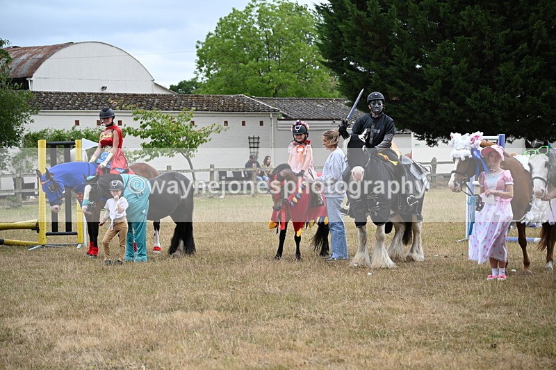WJ6_9219 - Class 11 Fancy Dress