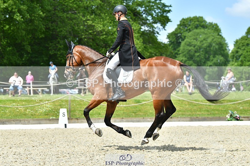 230525-113425-04053 - 201-JAEGER_MASTER-Tom_Woodward-WEDTrotUp+DR
