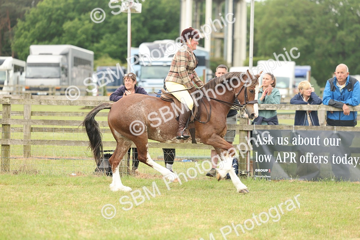 SBM_07278 - Class 76-77 - Ridden M&M Welsh Ponies