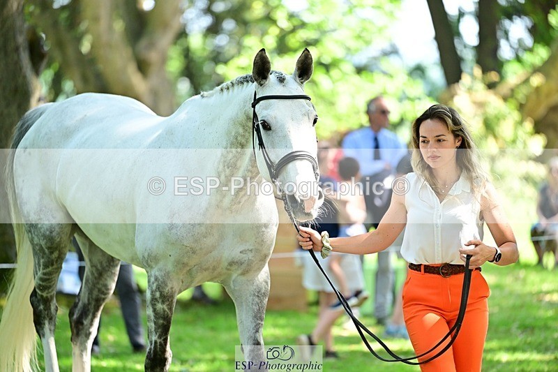 260527A-152620-01168 - C-367-Giulia.Ceccatelli