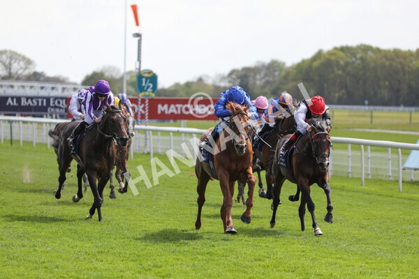 yr13052021r4-42 - Race 4 3.10pm Al Basti Equiworld Dubai Dante Stakes