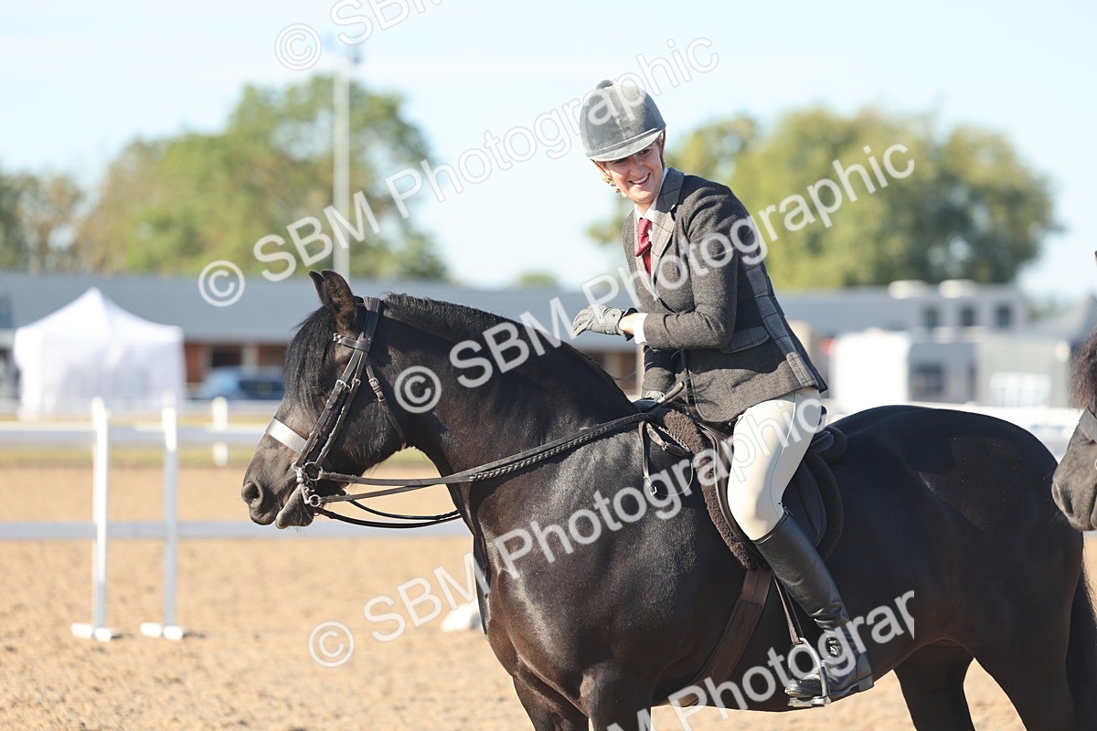 SBM_11093 - Class 302 - Ridden M&M Large Breeds