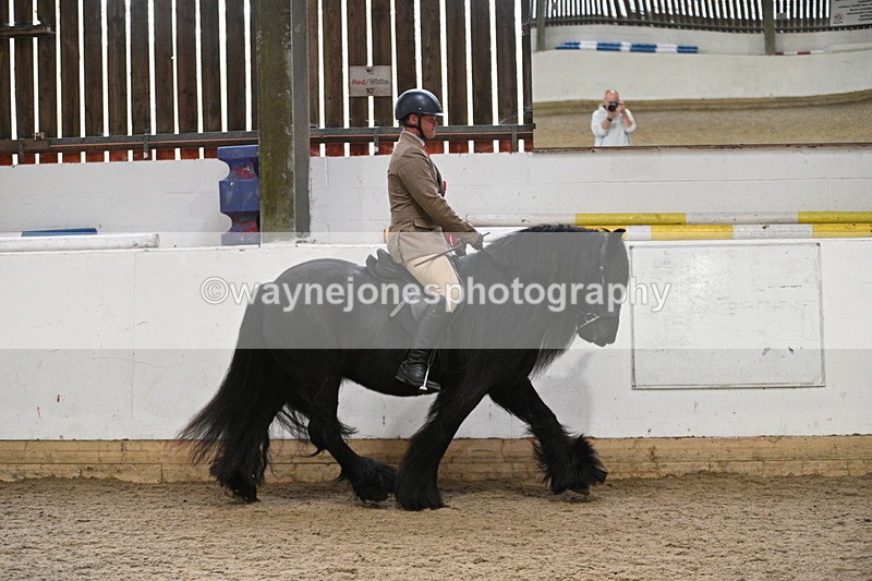 WJ7_4498 - Afternoon Champs