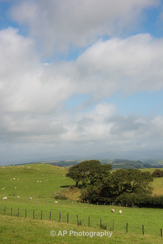 ACP_2446-2 - Rural Views