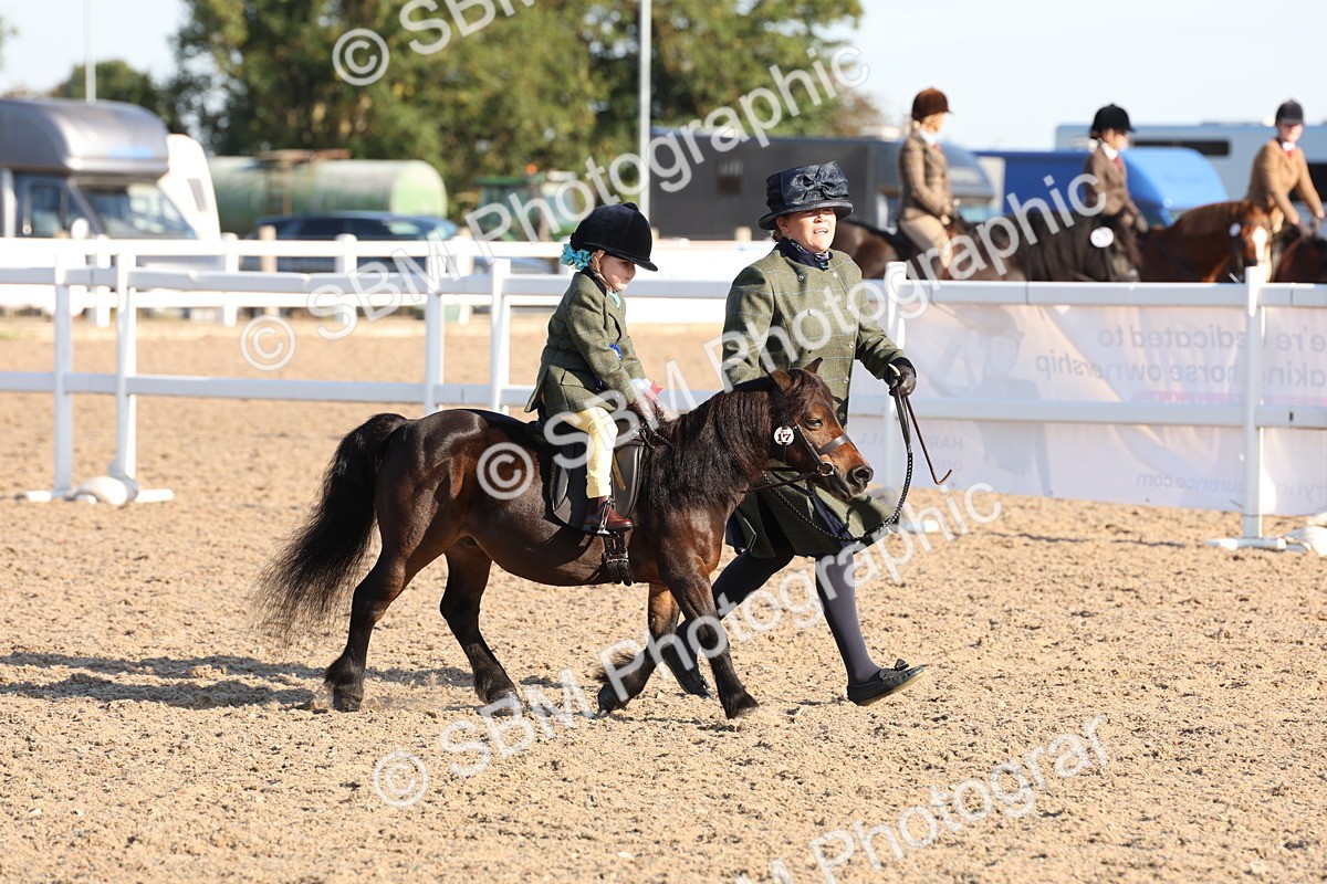 SBM_10883 - Class 202 - Best Turned Out - Ridden