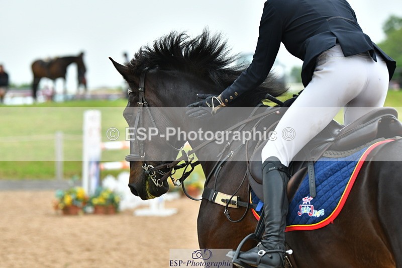 230610A-135726-03689 - Cls 16 Foxhunter