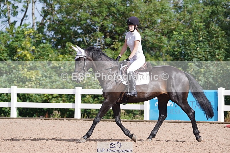 240809A-092648-00234 - Dressage Competition