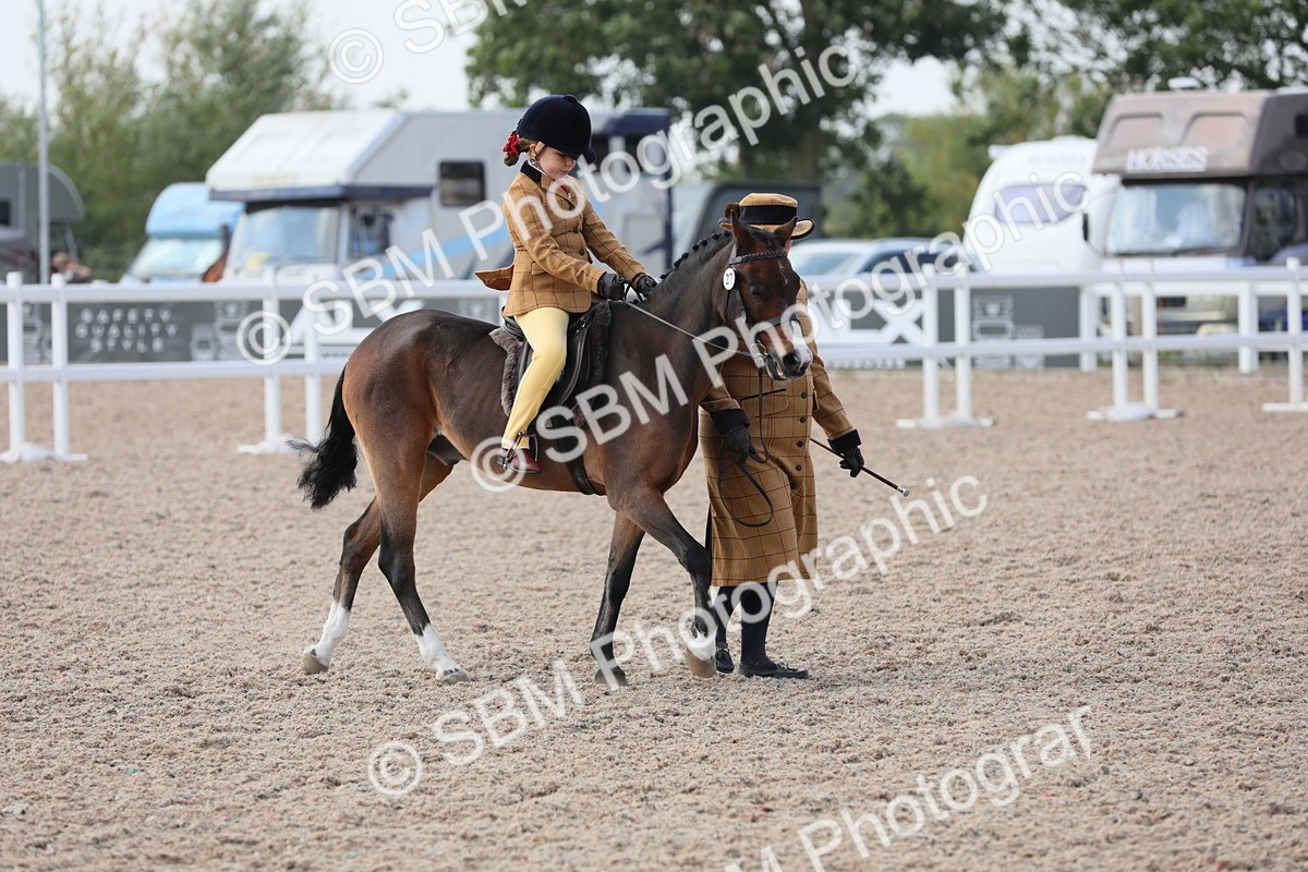 SBM_13962 - Class 309 Lead Rein Pony