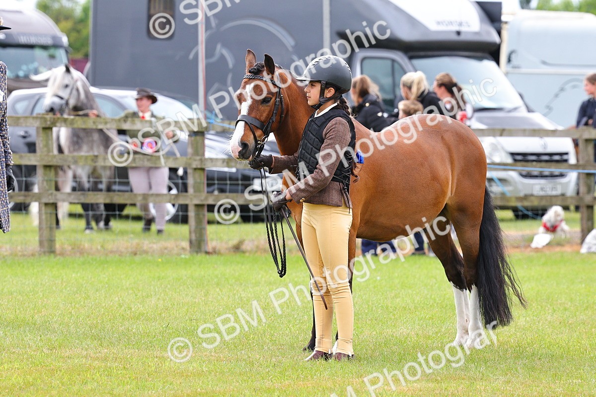 SBM_09603 - Class 44-45 - LIHS BSPS Open Nursery and Cradle Stakes