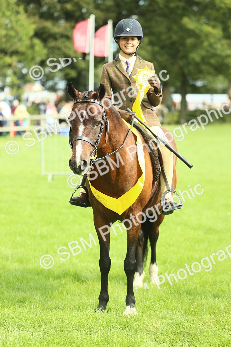 SBM_44820 - S31 - Working Hunter Pony