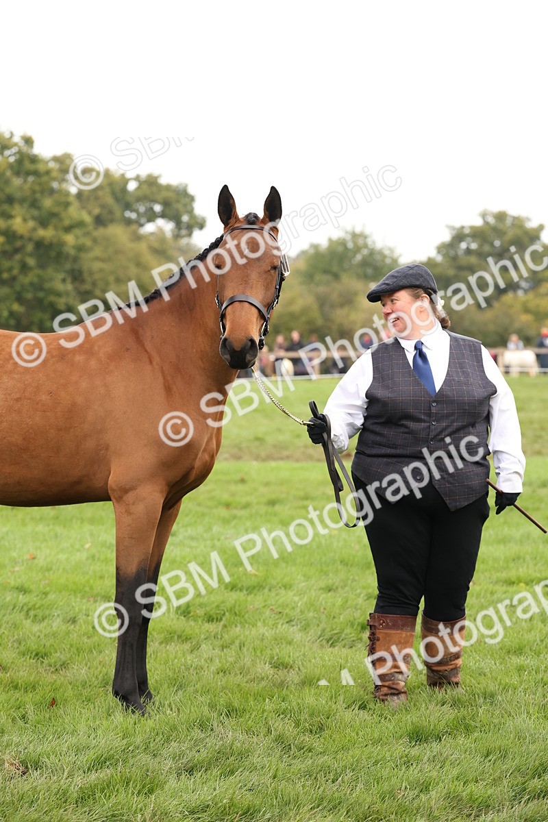 SBM_56245 - S55 - Other Coloured Horse In Hand