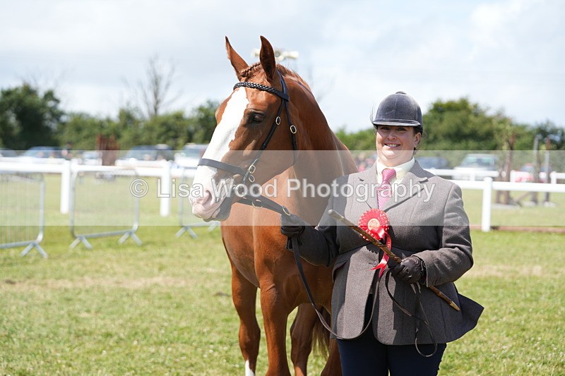 DSC06296 - Class 54: Hunter/Riding Horse/Hack 1 & 2 yr olds