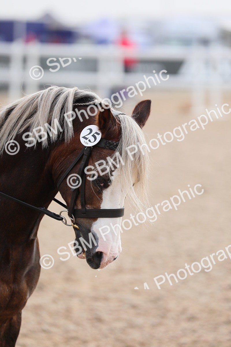 SBM_09630 - Class 301 Ridden M&M -Small Breeds