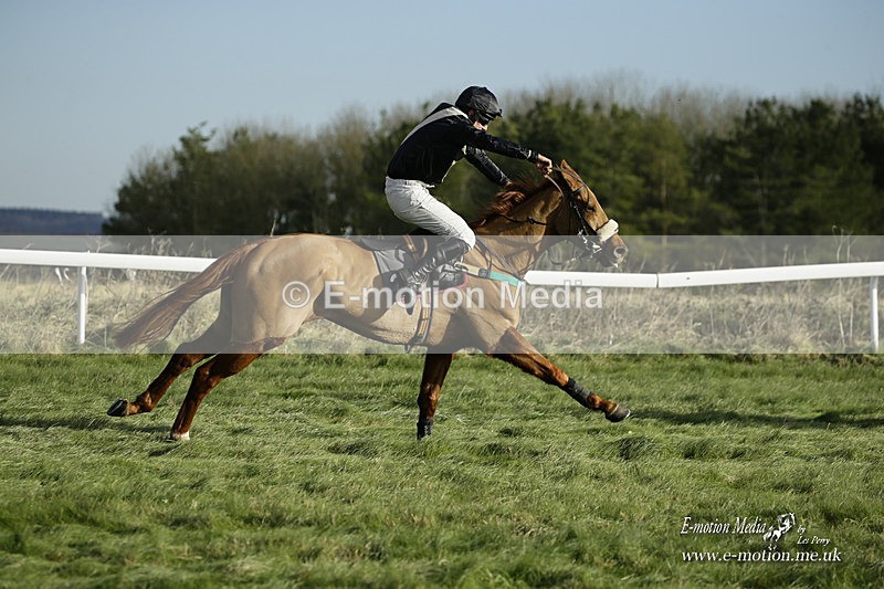 PtP 281121 0154 - Hursley Hambledon Point-to-Point Larkhill 28/11/21