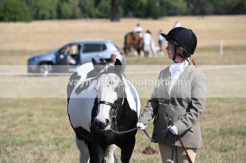 WJ6_7591 - Class 34 Judges Choice
