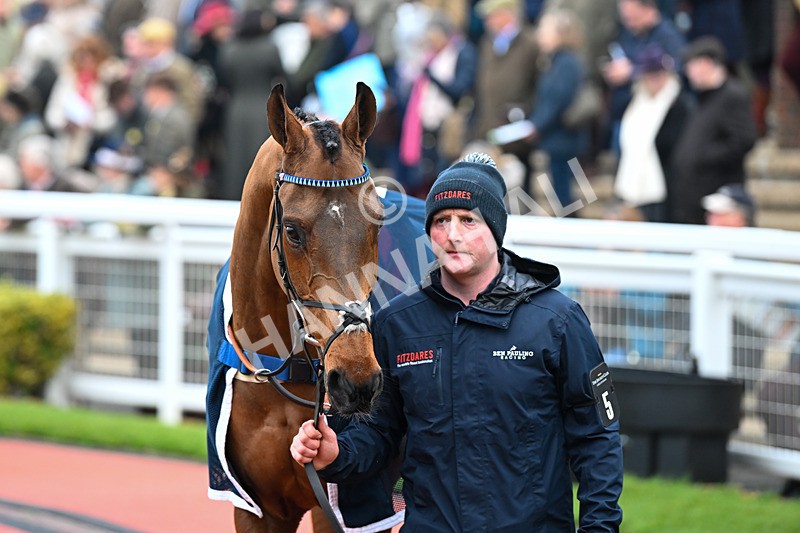 151124-Race 4-Paddock-Slipway-7951 - Race 4