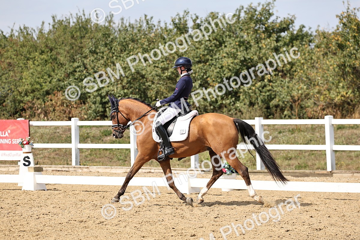 SBM_014837 - Class 7 - Medium 3