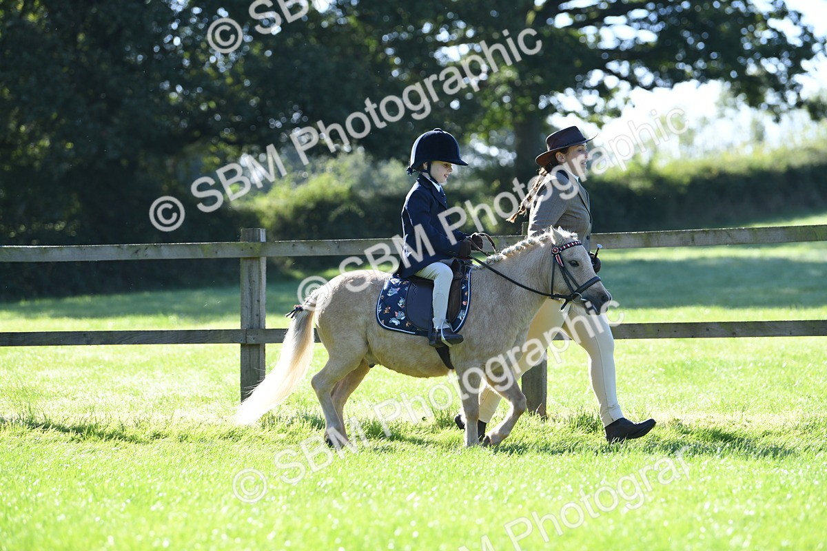SBM_36730 - S18 - Novice & Newcomers Lead Rein Pony