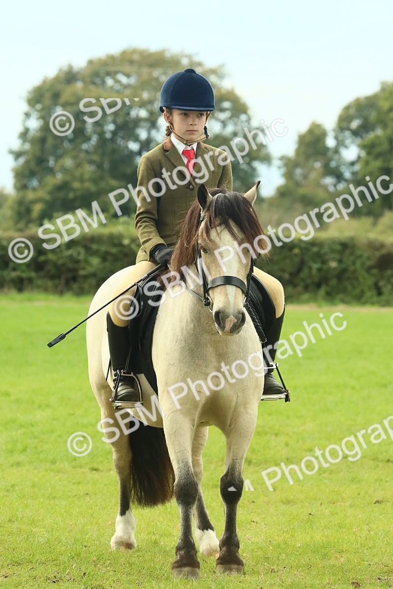 SBM_69981 - S59 - Mountain & Moorland Ridden Small Breeds