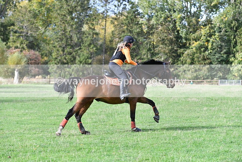 WJ5_1106 - Time 14:29 to 15:31