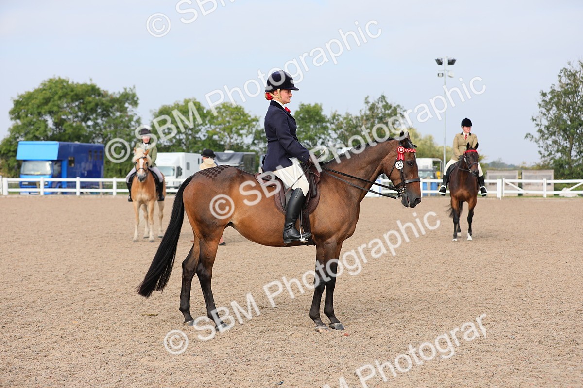 SBM_10682 - Class 303 Ridden Pure Bred Horse/Pony (excl M&M)