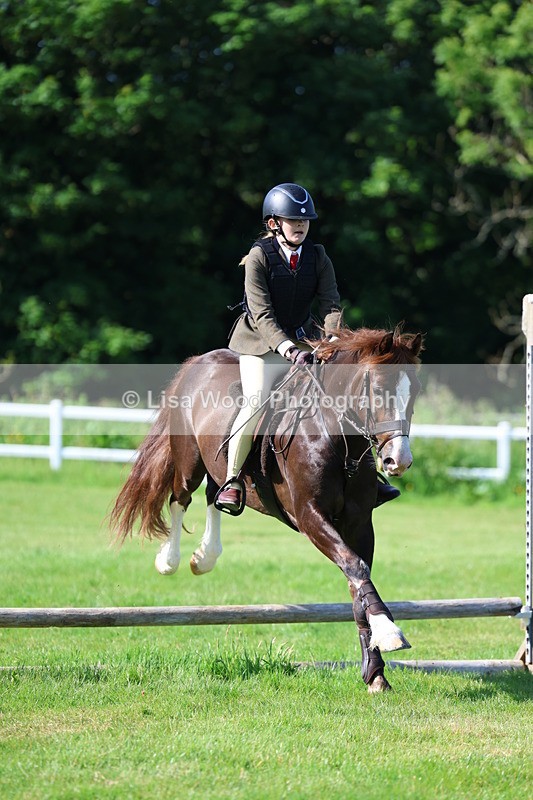 3E7A5931 - Class 27: Novice Working Hunter Pony