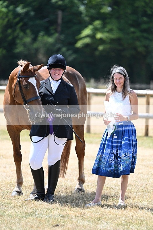 WJ7_2063 - Class 4a Prettiest Mare 14.2hh and over hand
