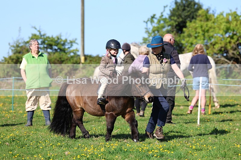 3E7A8746 - Class 2: Lead rein