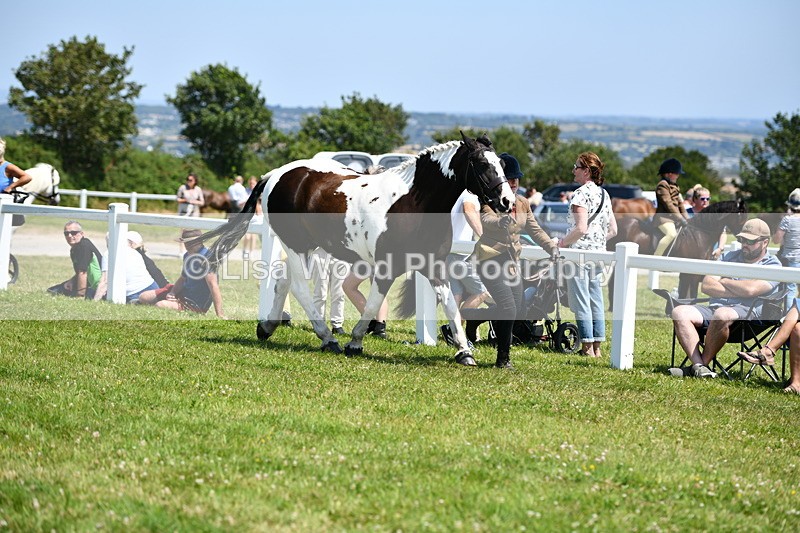 DSC_7611 - Class 64: Coloured Pony 4yrs & over