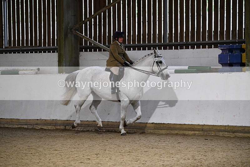 WJ5_8828 - Class 15 Ridden Show Horse