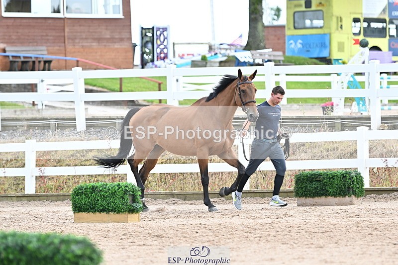240717A-143621-02140 - Trot Up 2pm to 3pm - This folder is not in time order