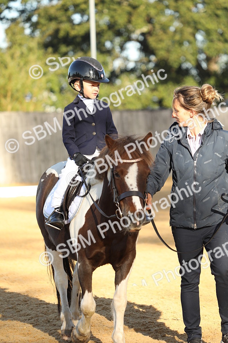 SBM_33691 - D26 - Starers - Lead Rein