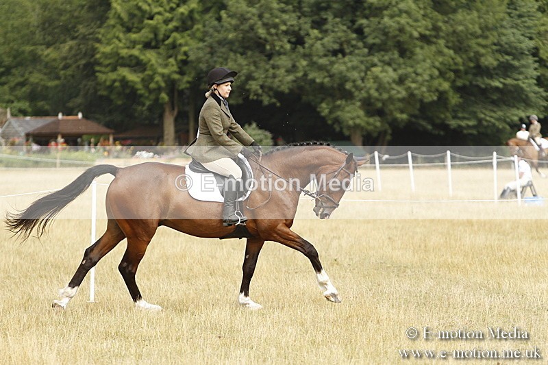 _BS_0672 - BVRC Show 2018 Ring 3