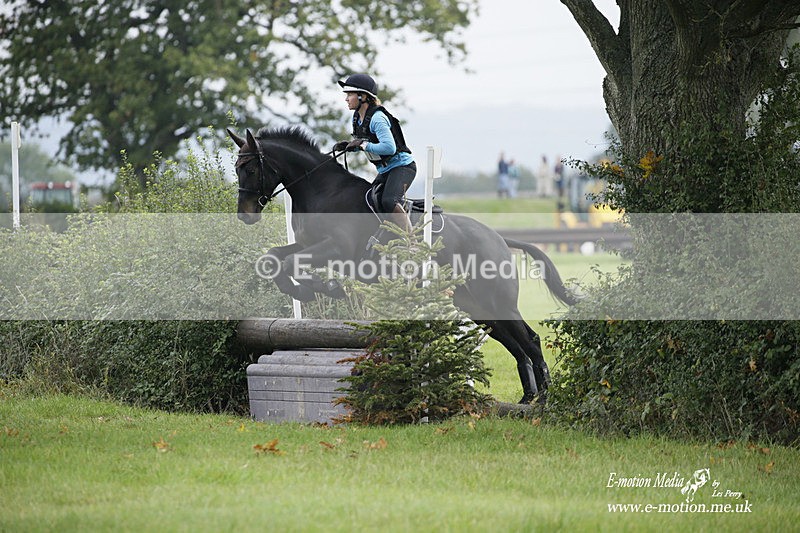  WWHT 171021 1072 - Open Novice (0.80m)  17/10/21